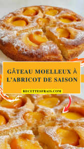 Gâteau moelleux à l’abricot de saison