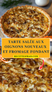 Tarte salée aux oignons nouveaux et fromage fondant