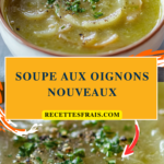Soupe aux oignons nouveaux