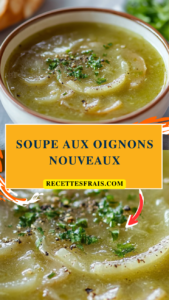 Soupe aux oignons nouveaux