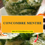 Concombre menthe