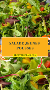 Salade jeunes pousses