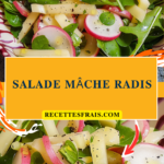 Salade mâche radis