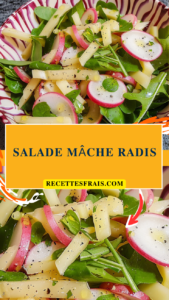 Salade mâche radis