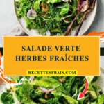 Salade verte herbes fraîches