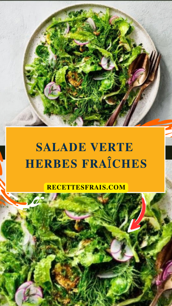 Salade verte herbes fraîches